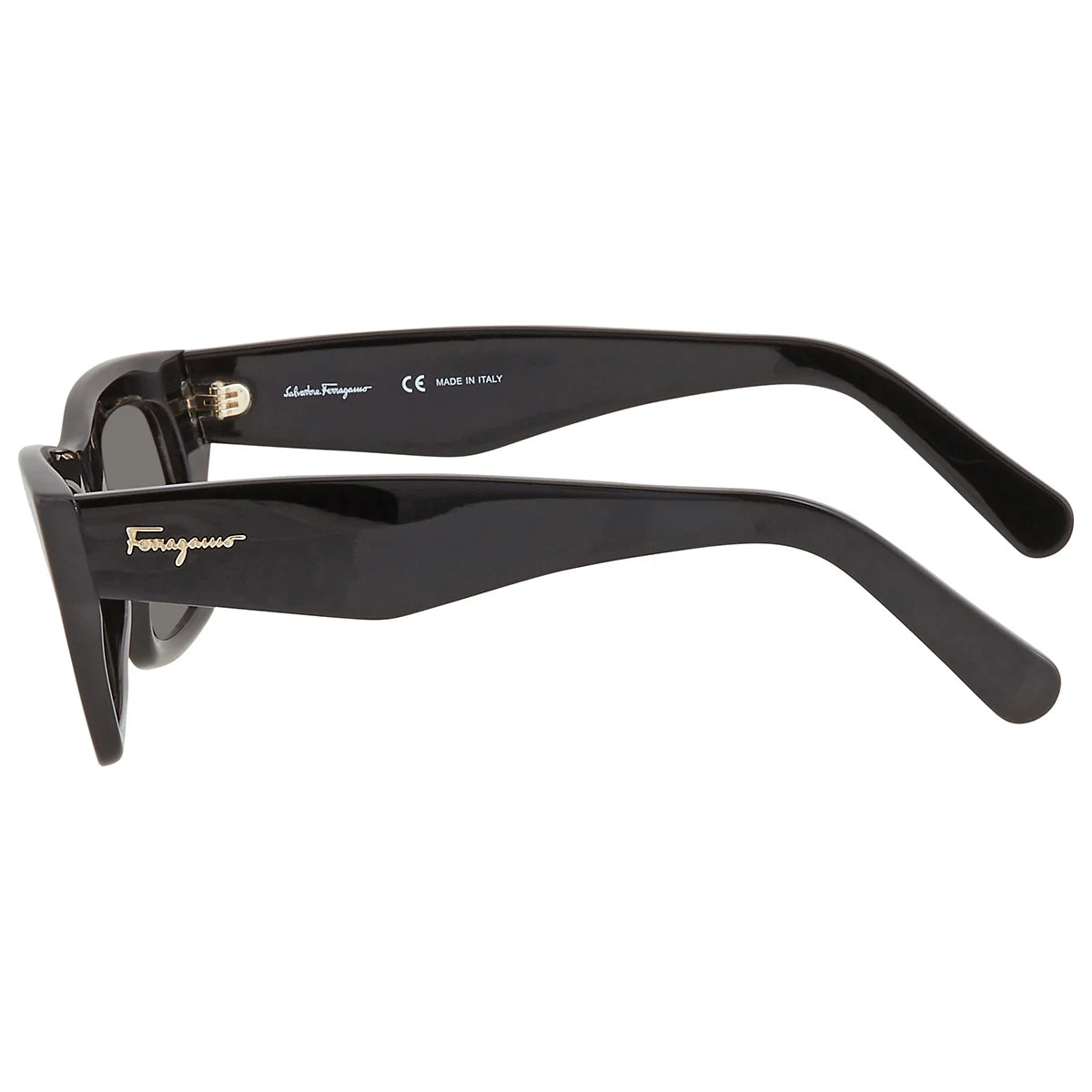 Salvatore Ferragamo Women’s Sunglasses